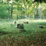 One of the most haunted cemeteries in America, Bachelor's Grove.